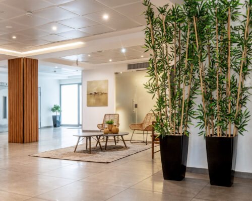 SharonAsafMisradim_HR--15