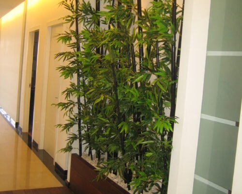 ‏‏עותק (2) של ‏‏עותק של IMG_5865